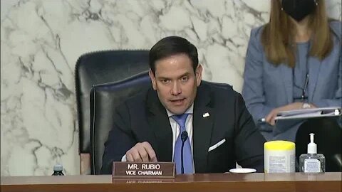 Vice Chair Rubio Questions Nominee Shannon Corless at Senate Intel Hearing