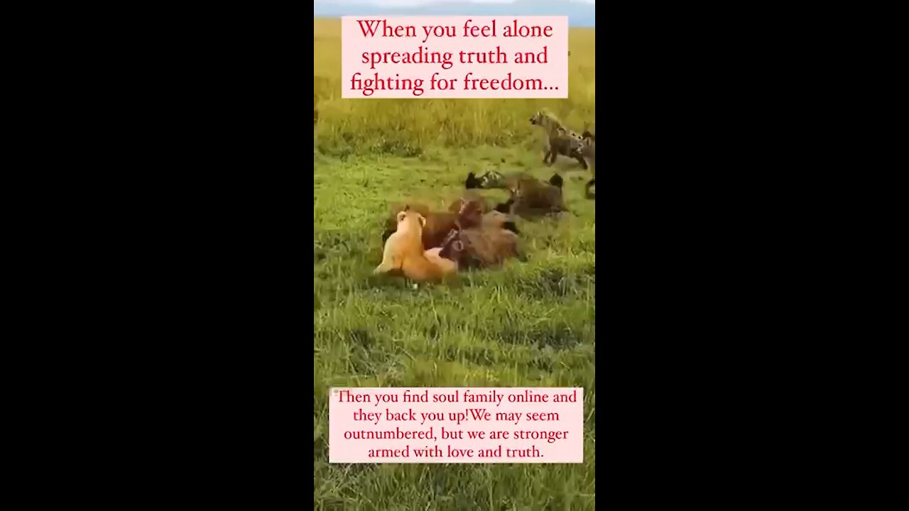 When you feel alone