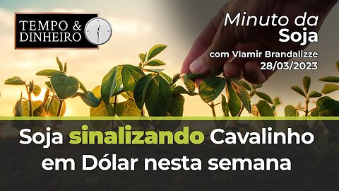 Soja sinalizando Cavalinho em Dólar nesta semana.