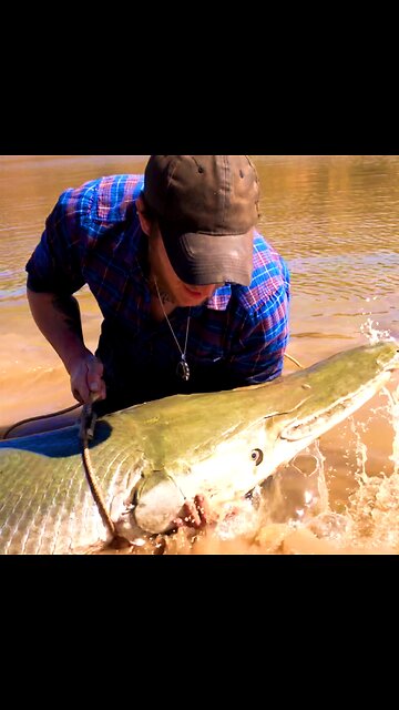 2023 Garfishing Season Is Here