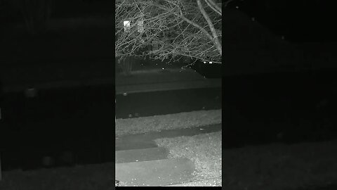 Something Coming Out Of My Lawn! 😬