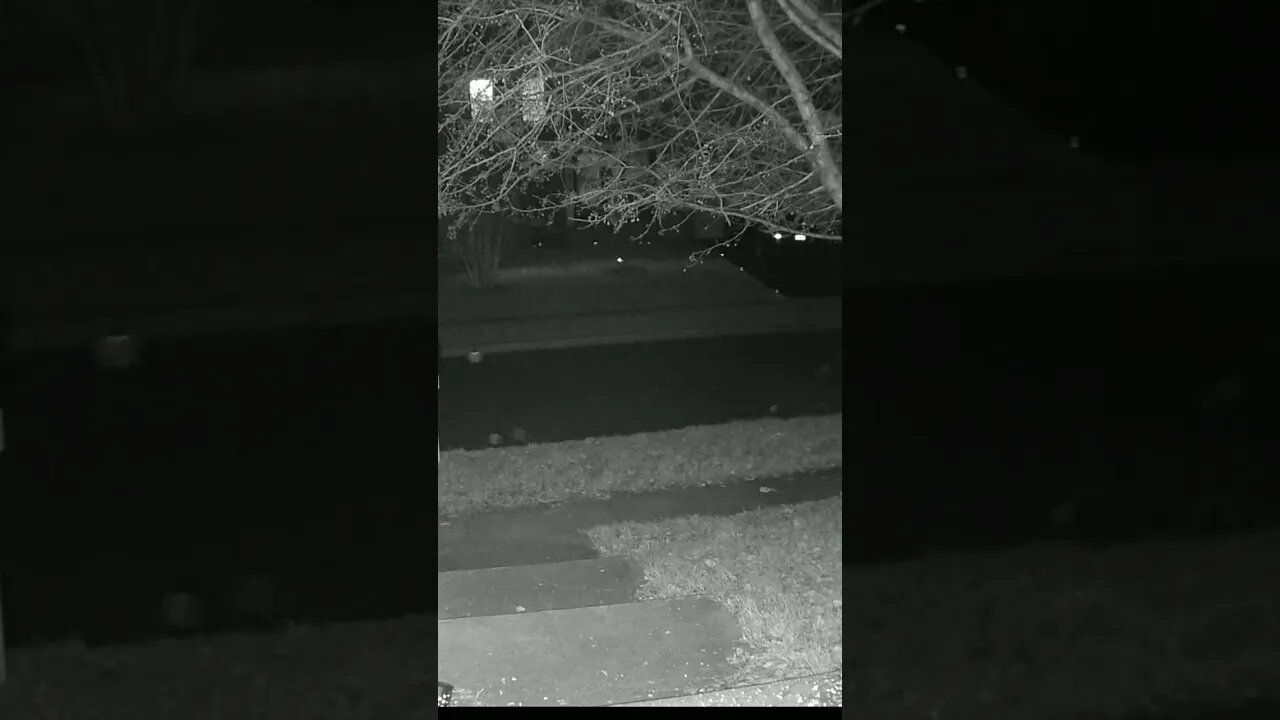 Something Coming Out Of My Lawn! 😬