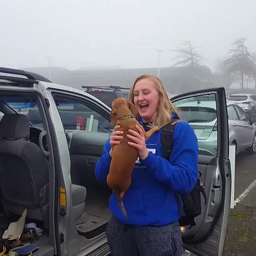 Best Friends Reunion: A Girl And Her Dog Meet For Christmas
