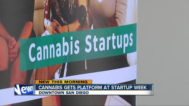 Cannabis gets platform at Startup Week