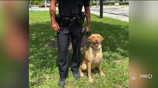 Name the newest member of the PGPD family