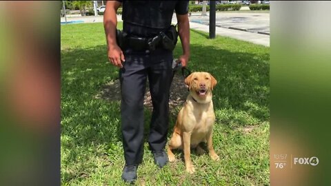 Name the newest member of the PGPD family