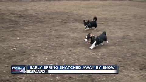 Spring snatched away with March snowfall