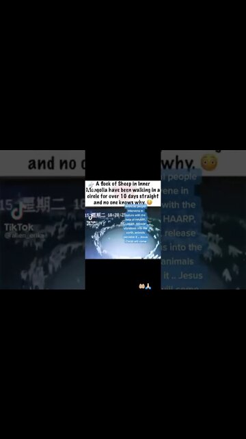 ۲۴ نوامبر ۲۰۲۲