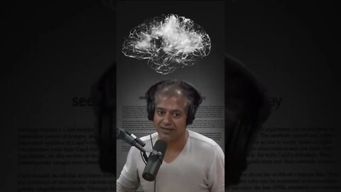 How to clear your thoughts to achieve happiness - Naval Ravikant and Joe Rogan #shorts #motivation