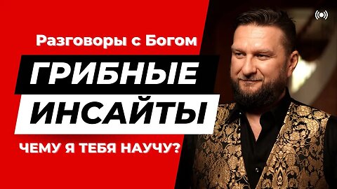 ГРИБНЫЕ ИНСАЙТЫ: ОФФЕР, ЧЕМУ Я УЧУ ЛЮДЕЙ и РАЗГОВОРЫ С БОГОМ. #павелдмитриев #гипнокоучинг #грибы