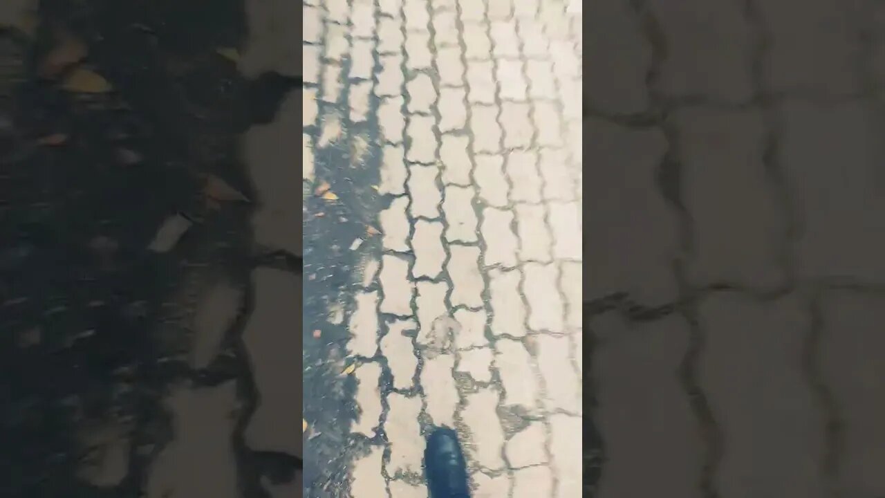 walking for food