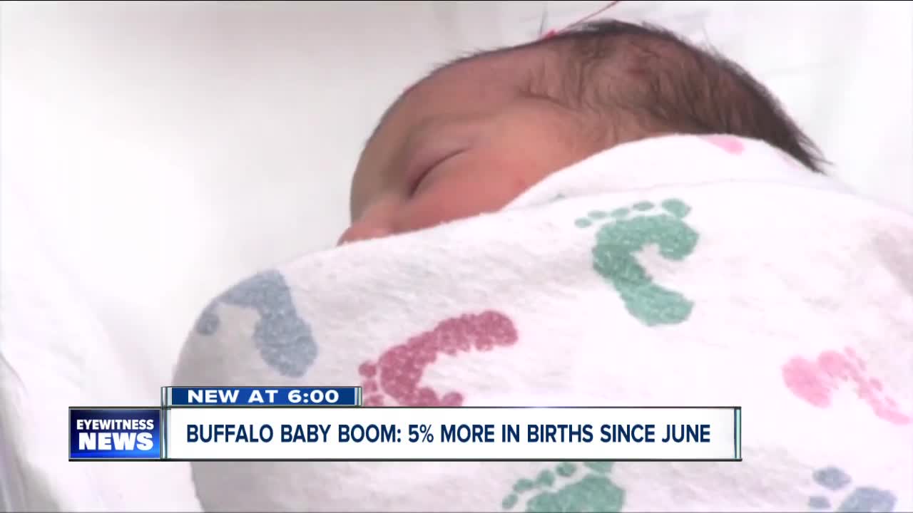 Buffalo baby boom: doctors seeing a 5% increase in births