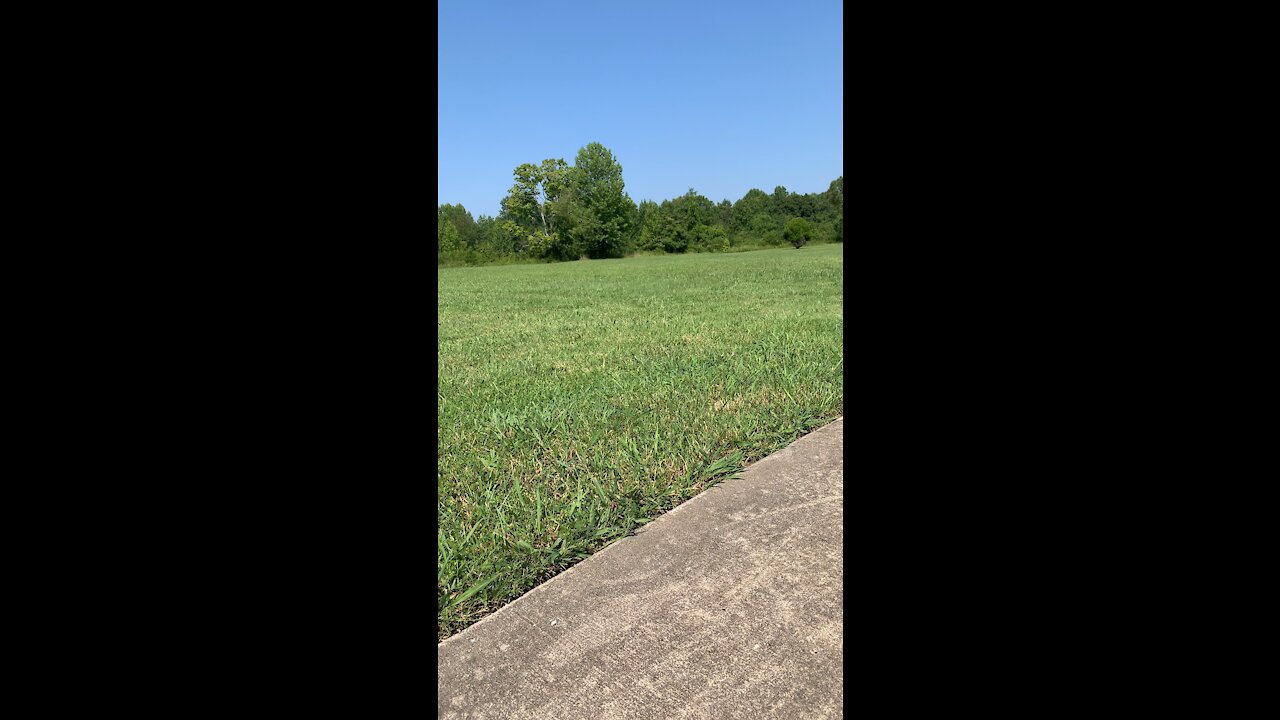 Sidewalk, path, peace￼, calm