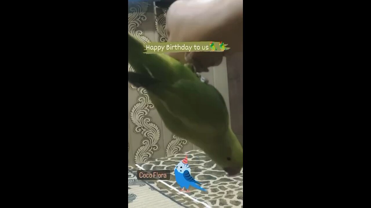 Today is my birthday