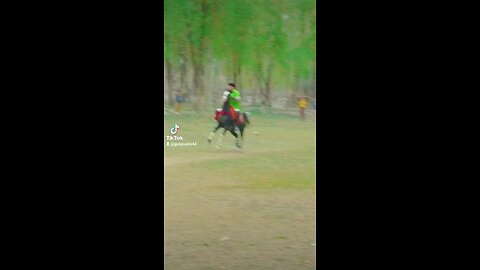 Traditional free style polo match