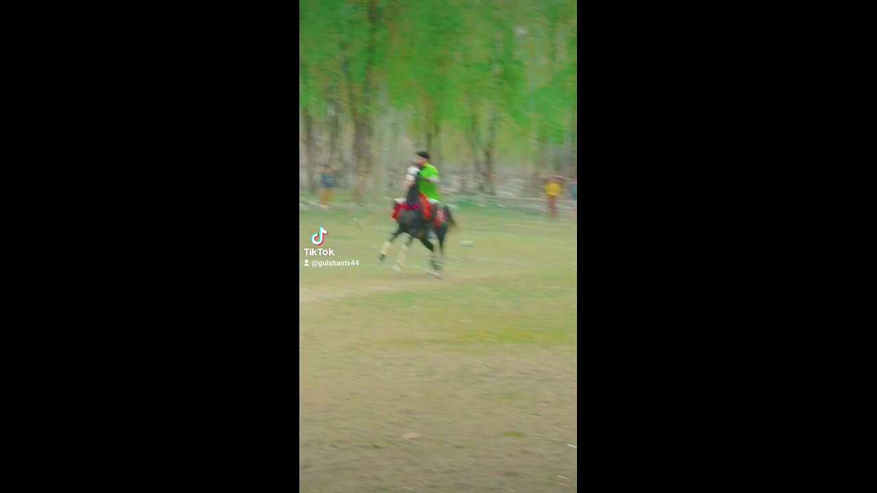 Traditional free style polo match