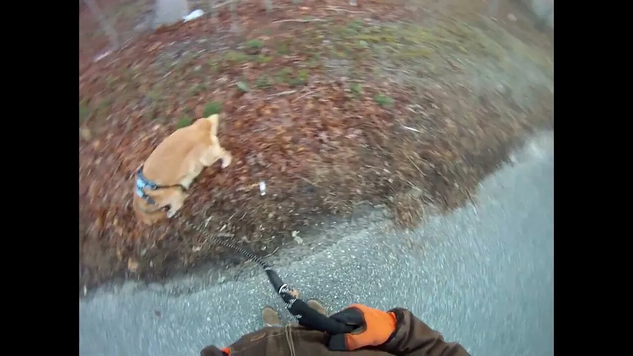 March 29th, cold morning, Flynn succeeds.