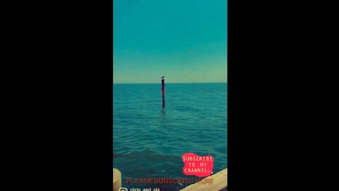 Walk Out Over The Water