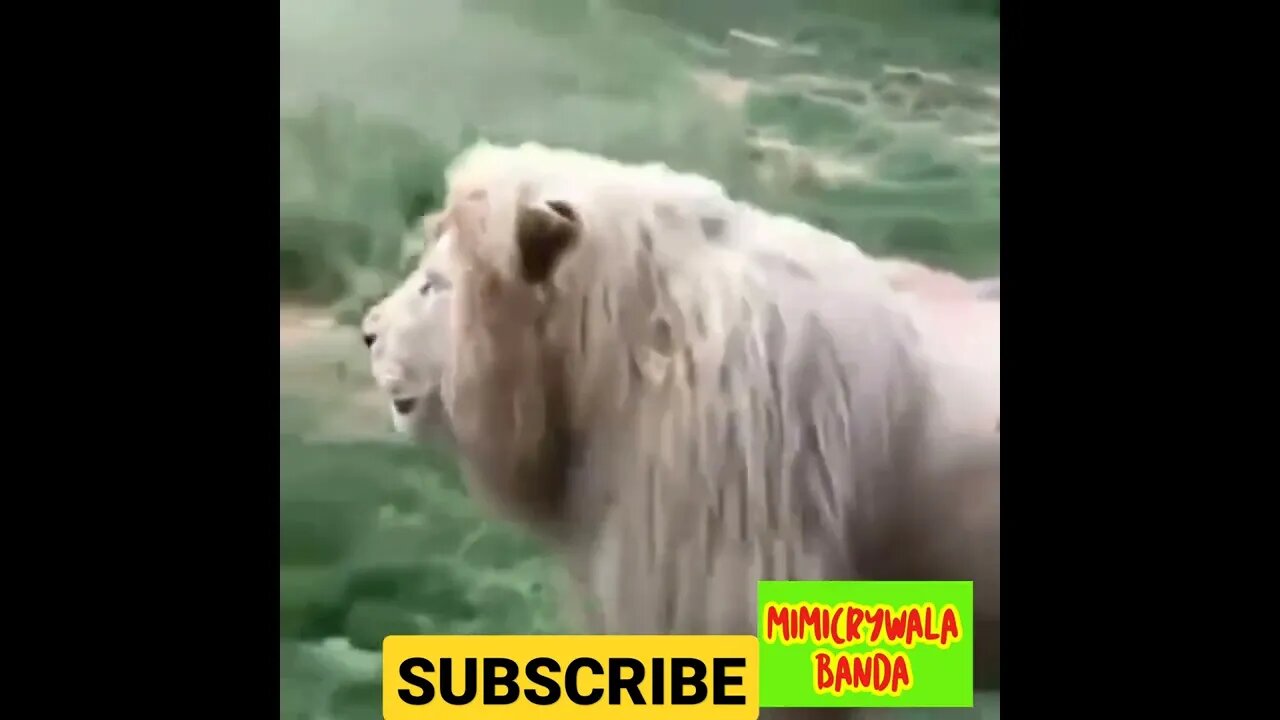 PUSHPA FUNNY MEMES - SMOKING IS INJURIOUS TO HEALTH - FUNNY VIDEOS - NEW COMEDY- MIMICRY -DUBBING