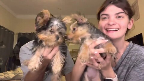 Oakley and Harley update
