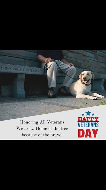 Veterans Day Sale - Service Emblem Collection