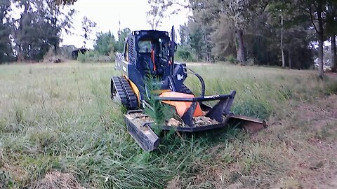 Brush Cutting on the property