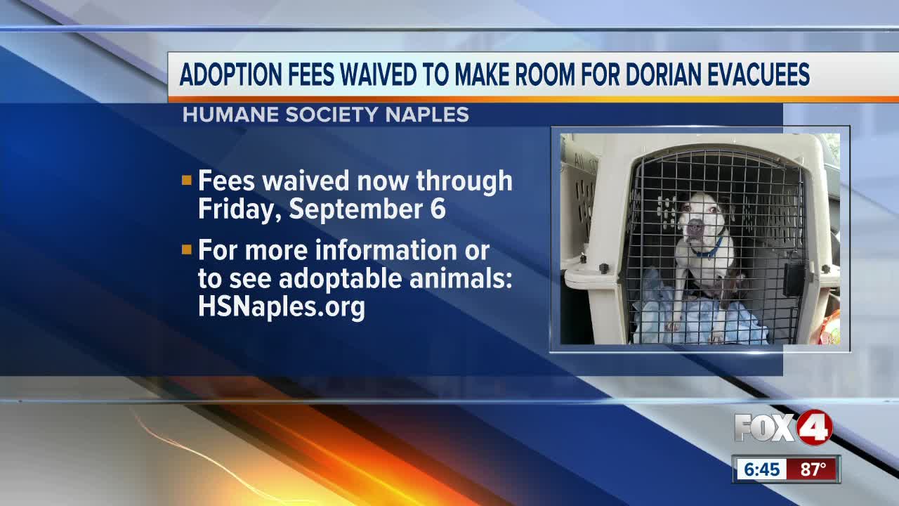 Naples Humane Society waives adoption fees