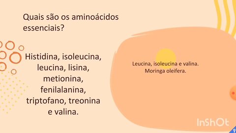 [pt. 2] A moringa contém todos os aminoácidos essenciais que o corpo necessita