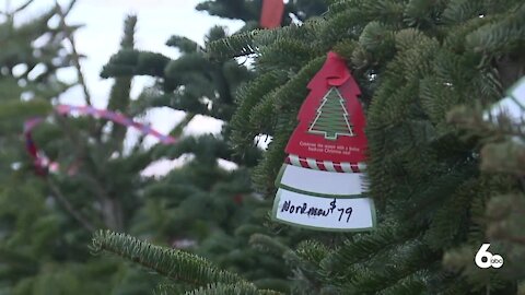 Christmas tree sales are up this year in the Treasure Valley