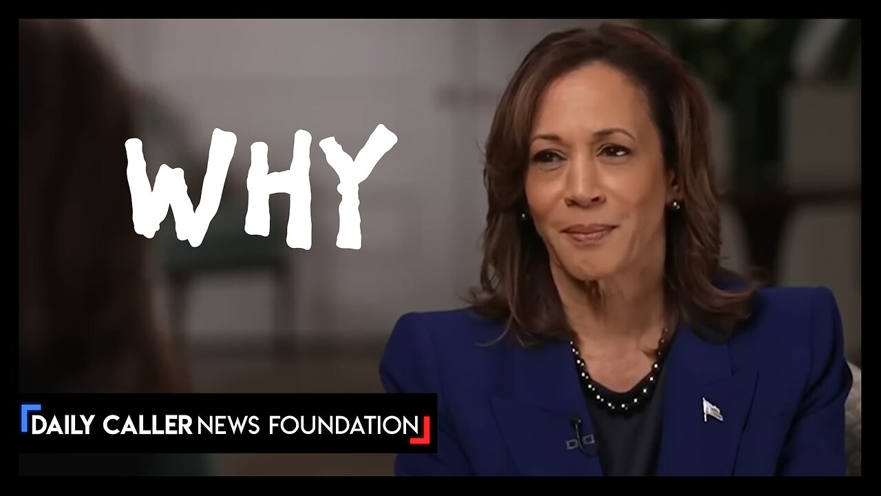 So WHY Is Kamala The Nominee?