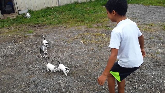 16 Cutest Kids And Cats