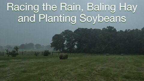 Racing the Rain, Baling Hay and Planing Soybeans