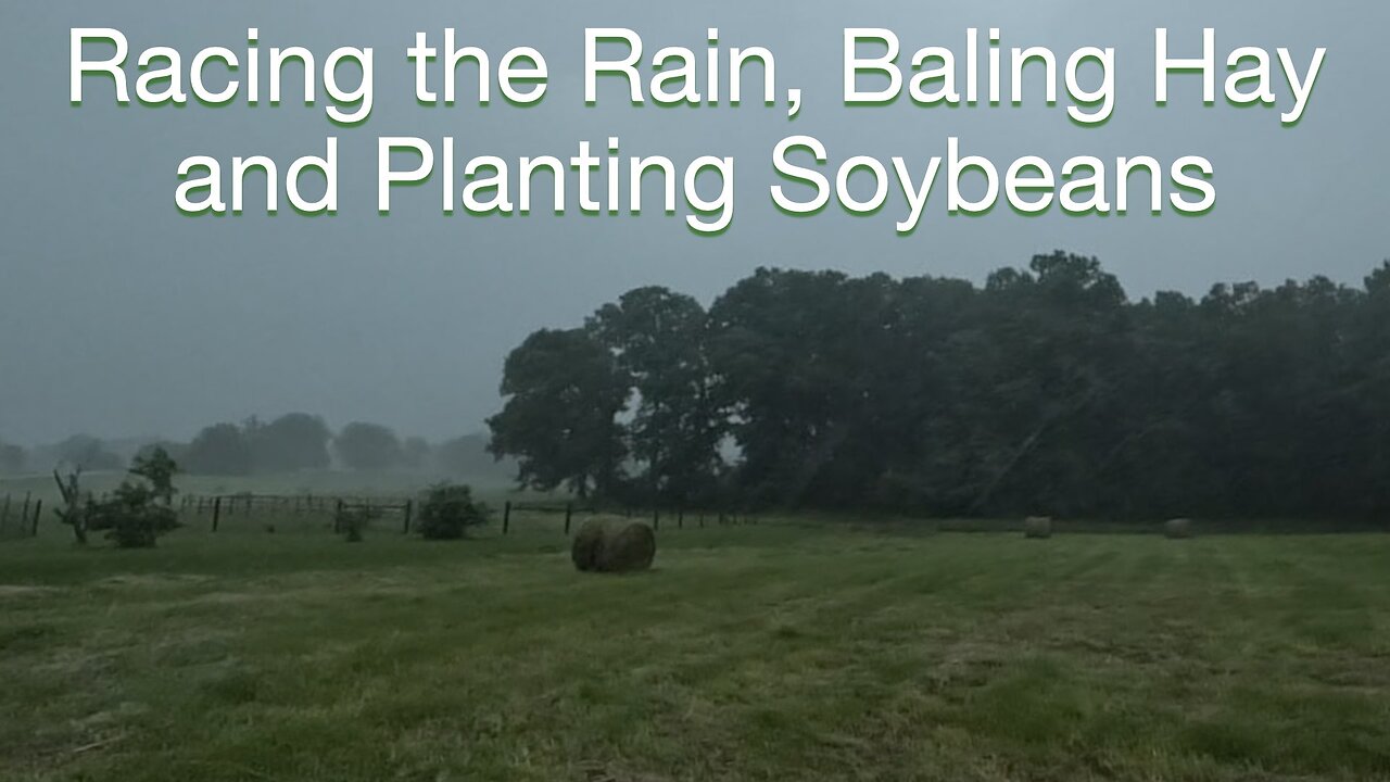 Racing the Rain, Baling Hay and Planing Soybeans