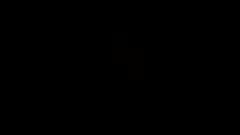 How to pronounce Al Gore