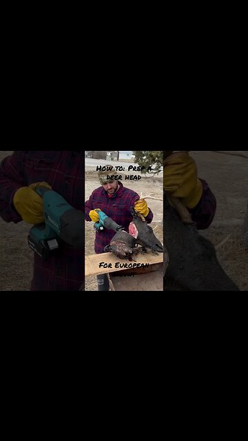 How To: Prep a Deer Head for European Mount