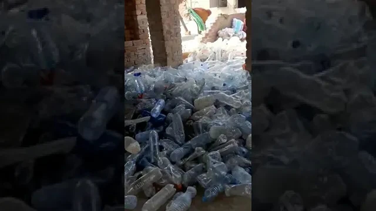 white pet bottle scrap sorting