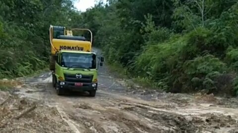 Truck Hino Terjebak Di Berlumpur