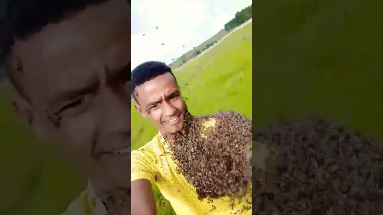 The bee guy 🐝 🐝 #shorts