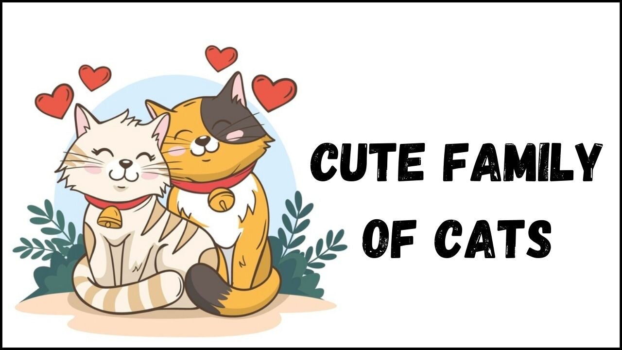 Cute Family Of Cats