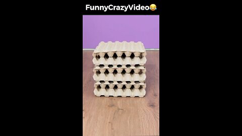 Mr FunnyCrazyVideo😂 Just Incredible Video Funny and Crazy #Like Follow for Follow 🥰