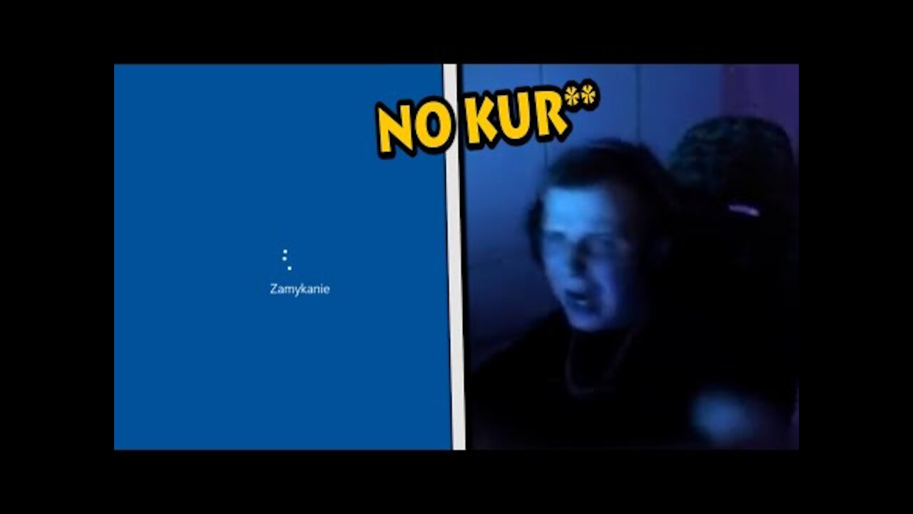 Kot wyłączył Nitro komputer, gdy grał w lola #shorts