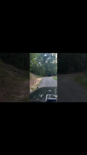 Dr. Jordan Peterson Inspiration #inspirationalquoteswhatsappstatus #motivation #inspirationalquotes