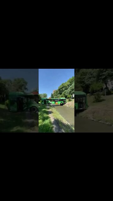 HOW DOES THIS EVEN HAPPEN #stupiddrivers #bus