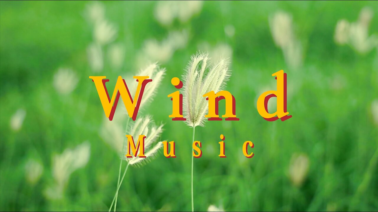 Wind Background Music