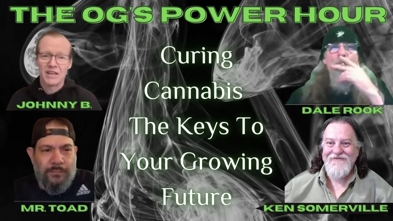 Curing Cannabis The Keys To Your Growing Future