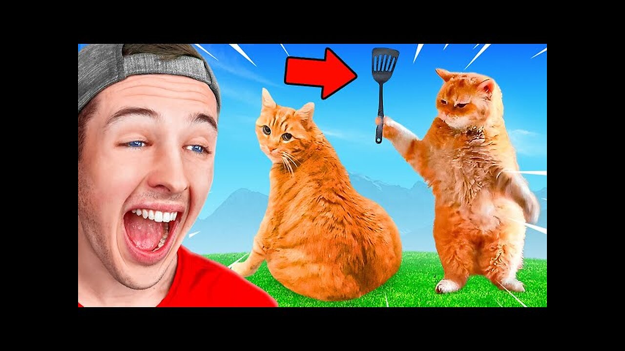 TRY NOT TO LAUGH *Funniest Animal