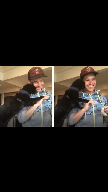 Cats are the sweetest creatures on earth