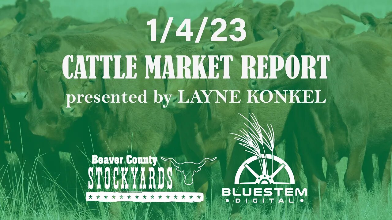 1/4/23 Beaver County Stockyards Cattle Market Report