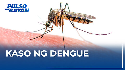 Libu-libong Pilipino, apektado pa rin ng sakit na dengue