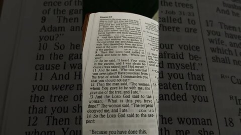 SIN BRINGS CURSES IN YOUR LIFE!